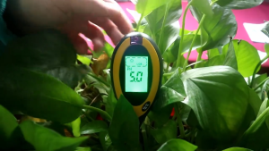 Januel 6in1 Pengukur Temperatur dan Kelembapan Tanah Soil PH Detektor Kesuburan - Jn65