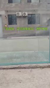 Bộ Lưỡi Câu Câu Cá Đôi Ngược Chiều 5/10 Chiếc Câu Cá Chép Châu Âu Tránh Được Cỏ Dại Đá Và Bùn Hợp Kim Thép