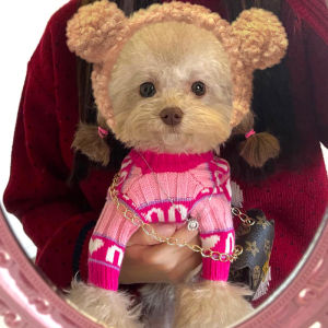 Warm Anti-Shedding Autumn Winter Dog Sweater Pet Clothes for Teddy Bichon Schnauzer Small Dogs Kittens Casual Style Pet Supplies