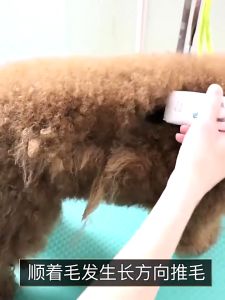 Tông đơ cạo lông thú cưng CODOS chính hãng KP- 3000 chuyên dụng