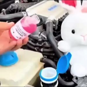 Concentrated Windshield Washer Fluid for Cars - Rain & Fog Resistant Streak-Free Clear Vision Quickly Restored Smooth Applicatio