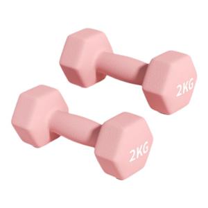 Home Fitness Iron Dumbbells 2kg