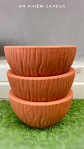 Chậu Đất Nung vân gỗ 2 Kích thước - Trồng Sen Đá - Xương Rồng- LỖI 1 ĐỔI 1