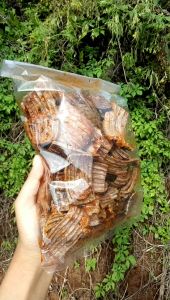 Camilan Sikembar: Krupuk Jengkol Pedas Daun Jeruk 1kg