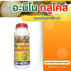 อะมิโน กลูโคส ขยายผล จัมโบ้ AAA เร่งผลด่วน รวดเร็ว ทันใจ สร้างเนื้อ เพิ่มความหวาน ช่วยทำสี บำรุงผลสวย เต่ง เพิ่มน้ำหนัก (ขนาด 1 ลิตร) อะมิโนกลูโคส - Lazada