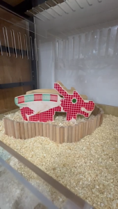Hamster Wooden Hideout Dragon Playground Hideout for Hamsters
