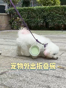 Portable Foldable Silicone Pet Bowl 350ml Lightweight Food Water Feeding Bowl for Dogs & Cats Travel