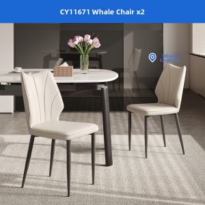 Modern Minimalist Home Dining Chair for Small Apartments