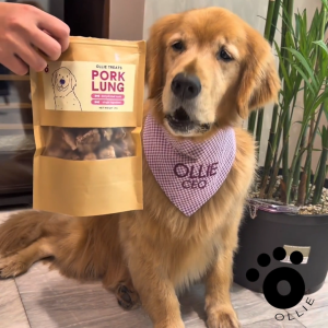 Ollie Treats: Sardines