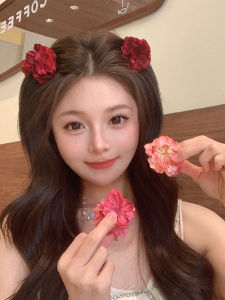 Dry Rose Small Hair Clip Womens Cold Sensation Flower Floral Hair Accessories Sweet Simulation Flower Bangs Side Clip Fairy Tale
