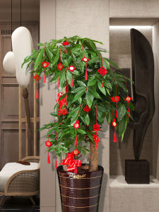 Housewarming Decoration Small Red Lantern Pendant Bonsai Fu Character Living Room Pachira Macrocarpa New Home Layout Supplies