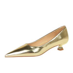 Comfortable French Low Heel Womens Shoes Silver 3cm New Chinese Style Pointed Toe Large Size Slip-On Fashion Single Shoes