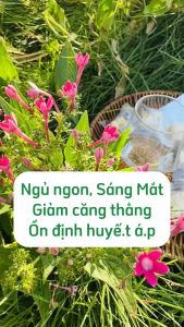 Trà hoa cúc đường phèn 1kg (Mix vị thanh nhiệt cơ thể hỗ trợ an thần ngủ ngon)