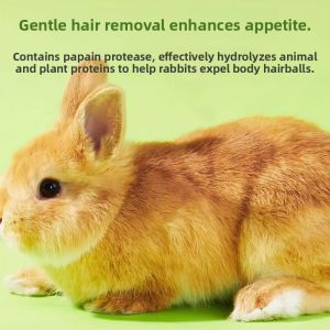 GUOGUOHAN | Dental Health & Digestion Aid Chew Toy for Rabbits Guinea Pigs & Chinchillas
