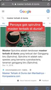 Pemutih Muka Spirulina Ubat Jerawat Paling Berkesan Masker Muka Blackhead Remover Face Mask Skincare