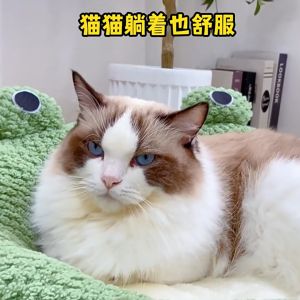 Pet Nest Cat Nest Dog Nest Pet Nest Small Frog Series Cat Nest Warm Dog Nest Autumn House Nest