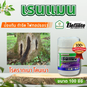 เรนแมน ไซยาโซฟามิด ป้องกันกำจัดไฟทอปธอร่า ขนาด 100 ซีซี