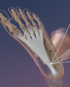 EMS Foot Massager bantalan Matras Pijat Kaki-alat pijat elektrik getar-alat pijat kaki elektrik-ems foot massager original