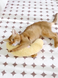 U Shaped Cat Dog Sleeping Pillow Soft Plush Cervical Support Cushion for Deep Sleep Kitten Puppy Neck Protection Small Pet Headrest