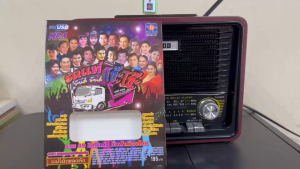 USB MP3 ชุดเพลงลูกทุ่งไทย โจ๊ะโจ๊ะ คอลเลกชันเสียงดี 30 ชิ้น