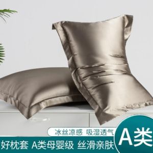 Bộ Hai Chiếc Vỏ Gối Lụa Mùa Hè Mát Mẻ Sang Trọng Bằng Lụa Sợi Băng Nguyên Chất Vỏ Gối Cao Su Phong Cách Hiện Đại Thoáng Khí