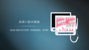 Digital Endoscope Intraoral Camera Dental 17 Inch Lcd Monitor 16mp All-In-One Oral Intraoral Camera