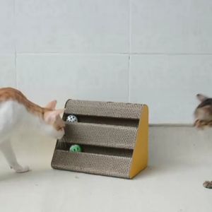 รางบอลสามเหลี่ยม ของเล่นแมว มีลูกบอลให้แมวเล่นอย่างเพลิดเพลิน ที่ฝนเล็บแมว แผ่นลับเล็บ  mcat scratcher