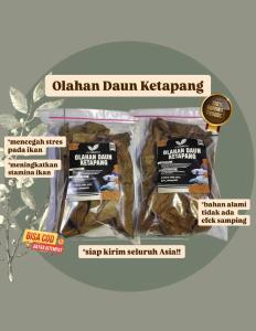 DAUN KETAPANG LAUT OLAHAN KEMASAN KECIL SUDAH DI OLAH PROSES FERMENTASI