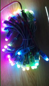 Led Đúc F8 Fullcolor 1903 (50 Led)