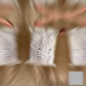 Pumpless Travel Vacuum Bag - Clothes Storage Space Saving bag Storage Resealable Reusable Compression Bag 真空收纳袋