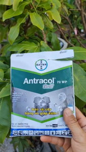 Antracol 70WP Bayer - Thuốc Trừ Nấm Bệnh Cho Cây