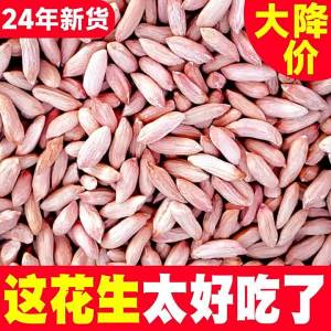 Đậu Phộng Bỏ Vỏ Hạt Dẹt Nhỏ Cao Cấp