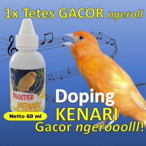 Vitamin kenari super gacor / Vitamin kenari ternak / Vitamin kenari cepat gacor / Vitamin kenari biar suara keras / Vitamin kenari paud biar gacor / Vitamin kenari gacor / Vitamin kenari macet bunyi / Vitamin kenari gacor ngeroll / Booster Kenari 60 ml