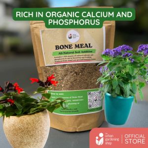 Bone Meal - An All-Natural Soil Additive Derived from Livestock Bones to Induce Flowering in Home Gardens