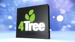 4tree(โฟร์ทรี)