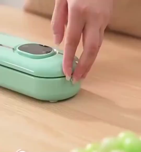 Portible Vacuum Sealer Machine Large Size Automatic Dry & Wet Air Sealing System Packing Sealing