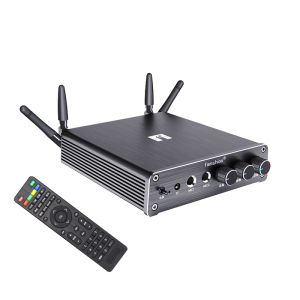 Fansheng KTV Player VOD Family Karaoke Karaoke Karaoke Microphone Singing Audio Amplifier with TV