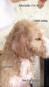 KIMP Pet hair dryer Portable Pet Hair Dryer Comb Pet Grooming Cat Hair Comb Dog Fur Blower Low Noise