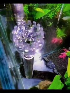 Aquarium Spin Skimmer Acrylic Lily Pipe Inflow DIY Filter for Fish Tank Pond