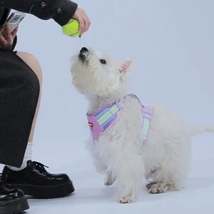 PE-712 เสื้อรัดอกสัตว์เลี้ยง สุนัข (ไม่มีสายจูง) หมาใหญ่ สายรัดอกหมา มีแถบสะท้อนแสง พร้อมส่ง❤️