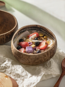 MODERN SWEETHOME | Breakfast Yogurt Coconut Shell Bowl