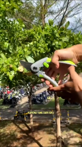 COD KIRIM CEPAT KNIFEZER Gunting Taman Dahan Ranting Buah Super Tajam Garden Pruning Scissors