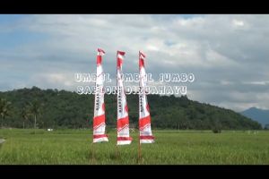 UMBUL UMBUL JUMBO SABLON DIRGAHAYU: Desain Tradisional & Ukuran Besar