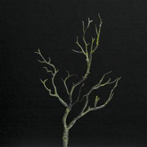 Tree Branches Artificial Plant Decoration Plastic Twig Home Wedding Halloween Xmas Home Gift DIY Simulation Flower Arrangement