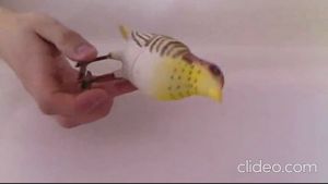 Bel Pintu Rumah suara Kicau Burung Doorbell remote control Wireless