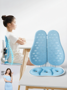MPRINCE | Posture Correction Seat Cushion Lumbar Support