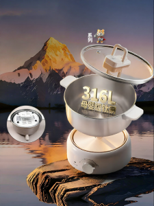 Liven | Multifunctional Stainless Steel Separate Electric Hot Pot