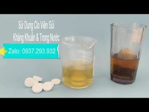 Hộp 250 Viên Sủi Clo 2 Gram - Làm sạch nước - Sát khuẩn - Khử mùi - Tẩy uế chuồng trại