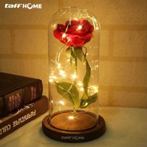 Beauty Rose and Beast Bunga Mawar Lampu LED Dekorasi