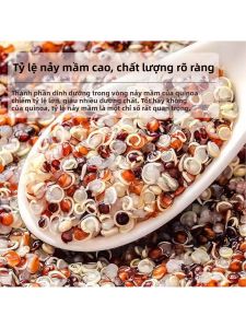 Quinoa Ba Màu Đỏ Trắng 5-Grain Thay Thế